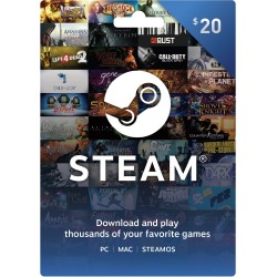 $20 Steam
